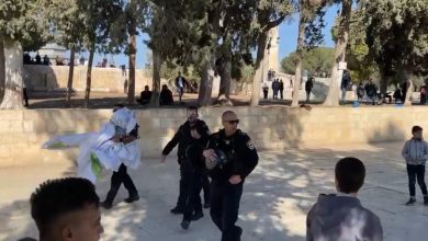 Photo of الاحتلال يعتقل 4 شبان في الأقصى