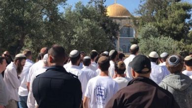 Photo of تحذيرات من إدراج “الأقصى” في برنامج زيارات طلبة المدارس الإسرائيلية
