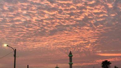 Photo of المجلس الإسلامي للإفتاء يدعو لأداء صلاة الاستسقاء في جميع البلاد