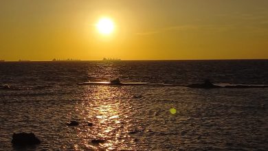 Photo of حالة الطقس: انخفاض طفيف على الحرارة وبارد صباحًا