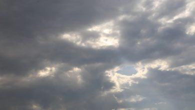 Photo of حالة الطقس: منخفض جوي يضرب البلاد اليوم وغدا