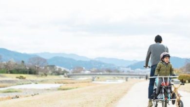 Photo of الوالدية وممارسة طقوس الحب (3)