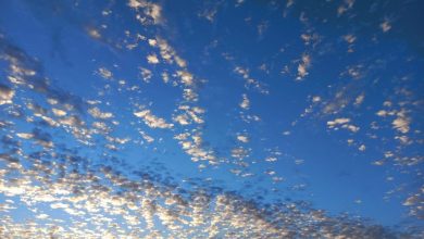 Photo of حالة الطقس: أجواء حارة وجافة