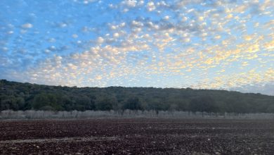 Photo of حالة الطقس: غائم جزئيا