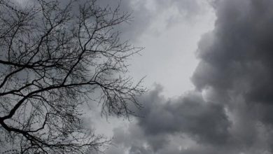 Photo of حالة الطقس: استمرار الأجواء الباردة والماطرة