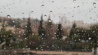 Photo of حالة الطقس: بارد وأمطار في شمالي البلاد