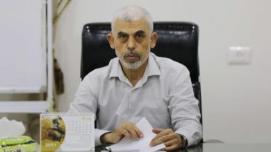 Photo of “يديعوت” توضح.. كيف يسخر السنوار من غباء إسرائيل؟