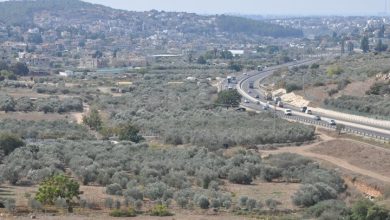 Photo of وادي عارة.. ممر عسكري وتجاري استراتيجي عبر العصور