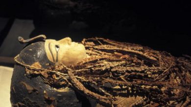 Photo of بعد 3500 عام… مومياء فرعون مصري تكشف أسراراً جديدة