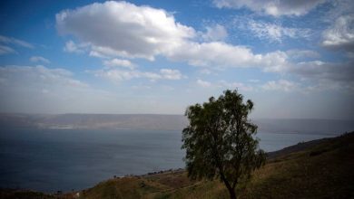 Photo of حالة الطقس: درجات الحرارة أعلى من المعدل.. والثلاثاء عودة الإمطار