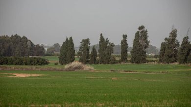 Photo of حالة الطقس: غائم جزئيا وماطر