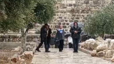 Photo of عشرات المستوطنين يقتحمون المسجد الأقصى