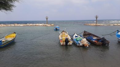 Photo of منظمة الصيد البحري تطالب بوضع آلية لتعويض الصيادين عن فترة حظر الصيد