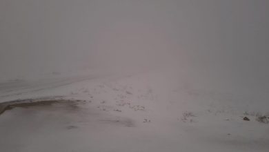Photo of الثلوج تكسو قمم جبل الشيخ