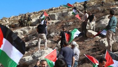 Photo of الضفة.. مستوطنون يقطعون 600 شجرة زيتون