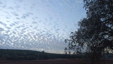 Photo of حالة الطقس: ارتفاع على درجات الحرارة واجواء باردة ليلا