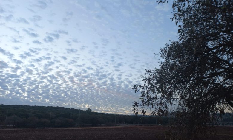 (تصوير: موطني 48)