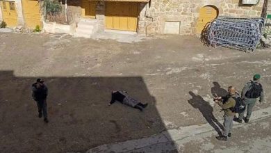 Photo of الاحتلال يصيب فتاة بزعم محاولتها تنفيذ عملية طعن بالخليل