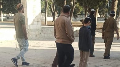 Photo of عشرات المستوطنين يقتحمون باحات “الأقصى” بحراسة مشددة