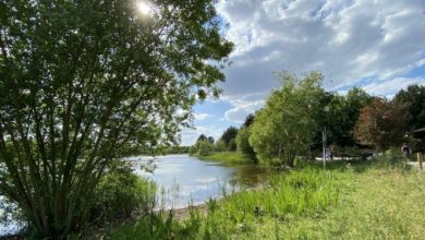 Photo of حالة الطقس: صاف وأجواء باردة أعلى من المعدل