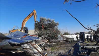 Photo of الاحتلال يهدم مشتلا لعائلة الصالحية بالشيخ جراح