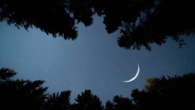 Photo of الثاني من نيسان/ أبريل أول أيام شهر رمضان فلكيا