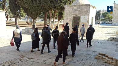 Photo of مستوطنون يقتحمون الأقصى ويؤدون طقوسا تلمودية