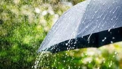 Photo of حالة الطقس: أمطار وعواصف رعدية