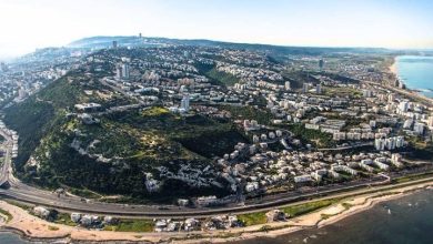 Photo of جبل الكرمل ذاكرة المبدعين الفلسطينيين و”قدسية” المكان