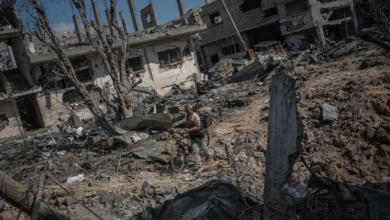 Photo of مديرة “الصليب الأحمر” بغزة: المدافع سكتت والمعاناة ازدادت