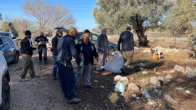 Photo of العشرات يشاركون في معسكر العمل في مقبرة قرية هوشة المهجرة