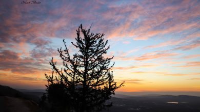 Photo of حالة الطقس: أجواء دافنة نسبيا