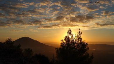 Photo of حالة الطقس: غائما جزئيا الى صاف