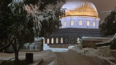 Photo of حالة الطقس: الجو يبقى تحت تأثير تيارات هوائية رطبة وباردة