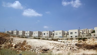 Photo of صحفية إسرائيلية أميركية: على إسرائيل أن تختار.. الانسحاب من الأراضي المحتلة أو منح الفلسطينيين الحقوق الكاملة