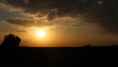 Photo of حالة الطقس: أجواء باردة وأمطار متفرقة