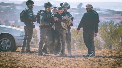 Photo of نحو 2500 أمريكي يوقعون عريضة تطالب بلادهم بالتدخل لوقف التطهير العرقي بالنقب