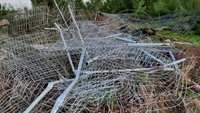 Photo of اليوم السبت: وقفة احتجاجية على أرض مقبرة قرية لوبية المهجرة