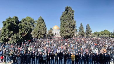 Photo of 50 ألفا أدوا صلاة الجمعة في الأقصى