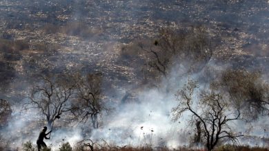 Photo of مترجم: الانتقاد الأوروبي لعنف المستوطنين تفوح منه رائحة النفاق