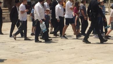 Photo of مستوطنون يقتحمون الأقصى.. وهذه حصيلة اقتحامات الأسبوع
