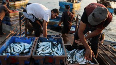 Photo of الاحتلال الإسرائيلي يعتقل 7 صيادين من بحر شمال غزة