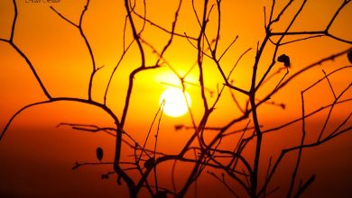 Photo of حالة الطقس: أجواء صافية وارتفاع درجات الحرارة