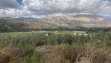 Photo of حالة الطقس: غائم جزئيا وارتفاع في درجات الحرارة