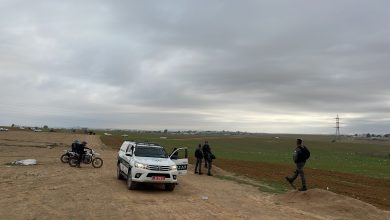 Photo of جرافات وآليات إسرائيلية بحماية الشرطة تجرف محاصيل زراعية بين تل السبع وأم بطين