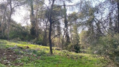 Photo of حالة الطقس: غائم جزئيا إلى صاف