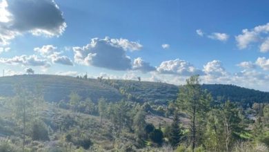 Photo of حالة الطقس: غائم جزئيا إلى غائم وارتفاع درجات الحرارة