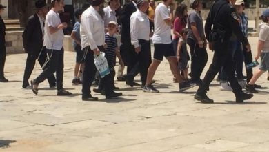 Photo of مستوطنون يقتحمون الأقصى.. وحصيلة اقتحامات الأسبوع 935 متطرفًا