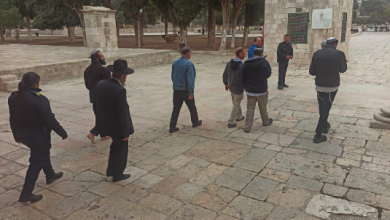 Photo of منذ الصباح.. 218 مستوطنًا يقتحمون المسجد الأقصى