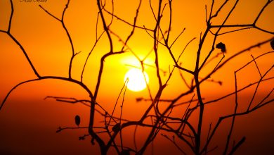 Photo of حالة الطقس: أجواء مستقرة ودافئة